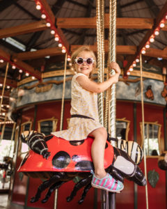 New York Bronx Zoo Bug Carousel-